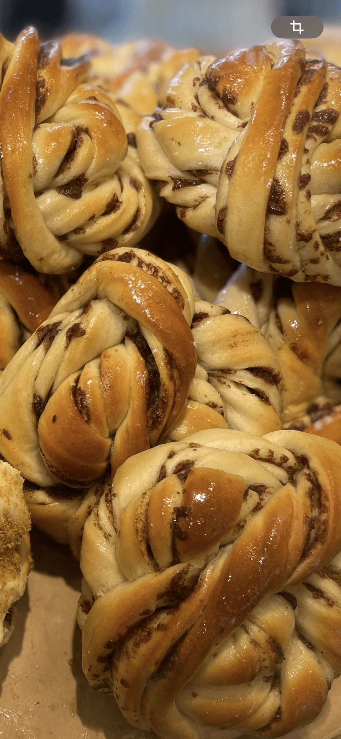 Kanelknuter - Bilde 2